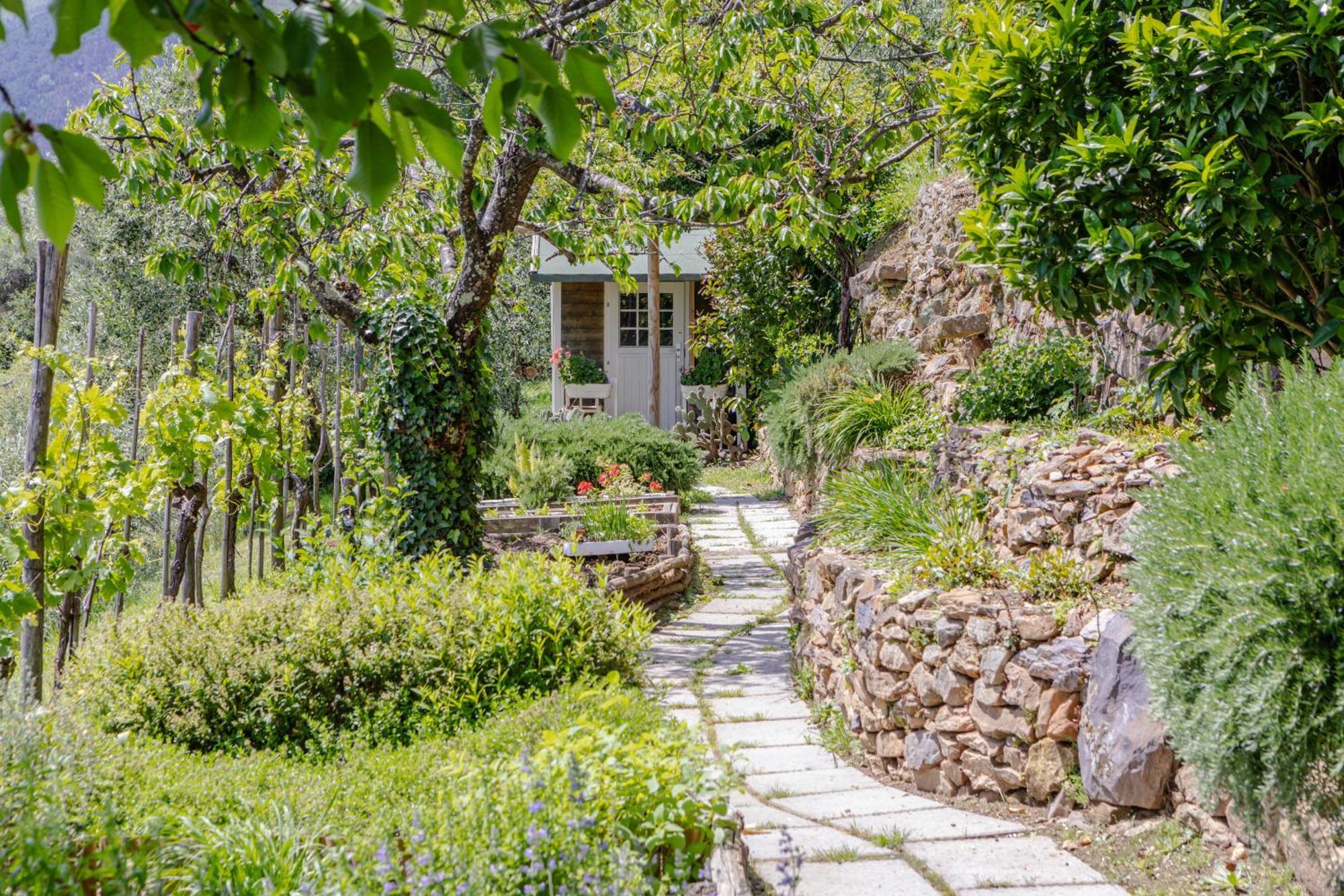 Villa Sii Felice Buti Exterior photo